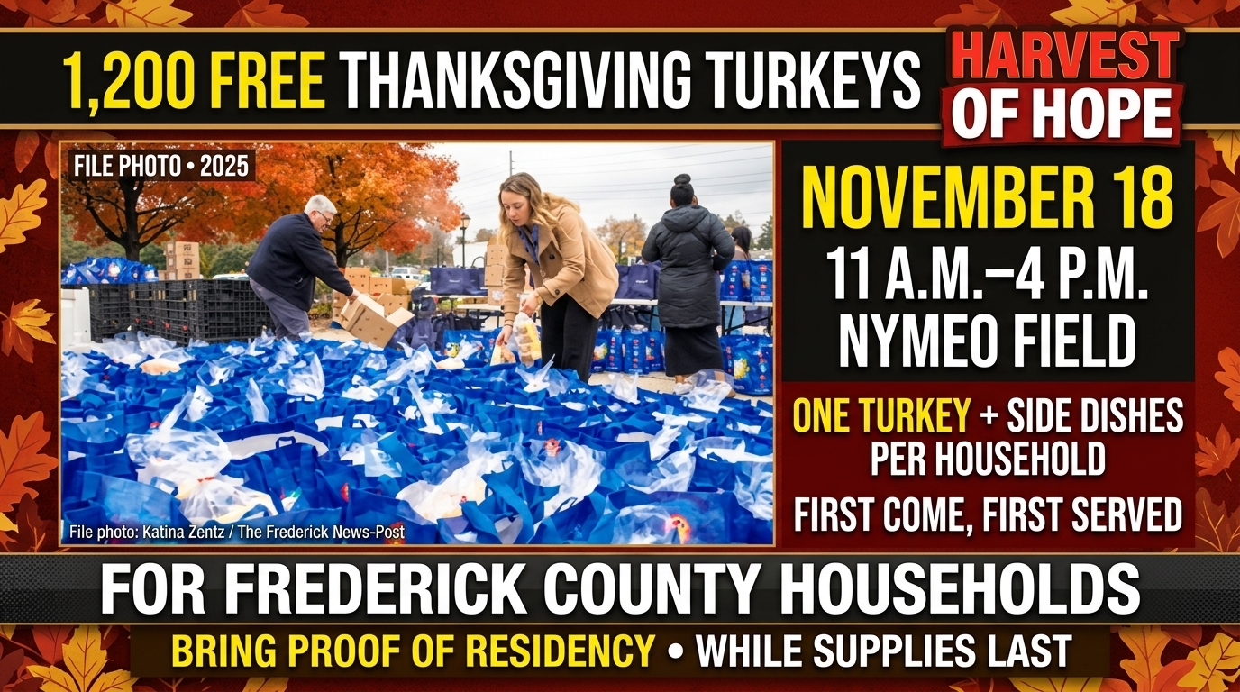 Photo illustration of a volunteer handing Thanksgiving groceries to a resident.
